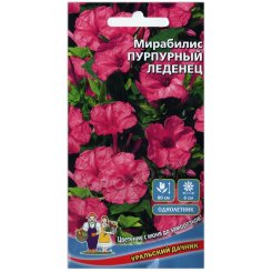 Мирабилис Пурпурный леденец