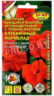 Настурция махровая Клубничный мармелад