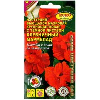 Настурция махровая Клубничный мармелад