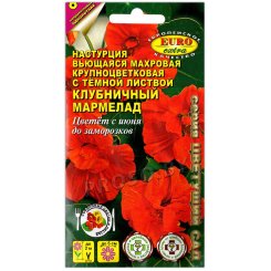 Настурция махровая Клубничный мармелад