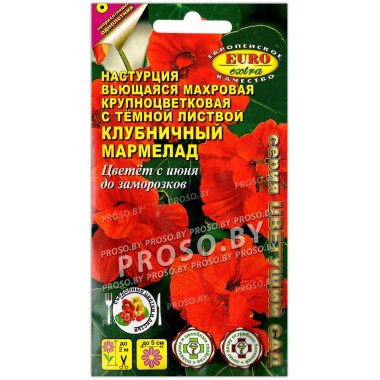 Настурция махровая Клубничный мармелад