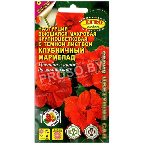Настурция махровая Клубничный мармелад
