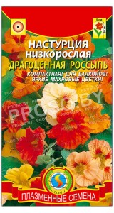 Настурция низкорослая Драгоценная россыпь