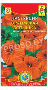 Настурция Оранжевая вспышка