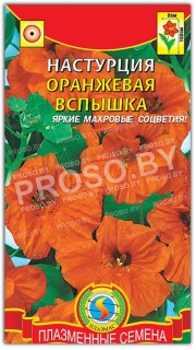 Настурция Оранжевая вспышка