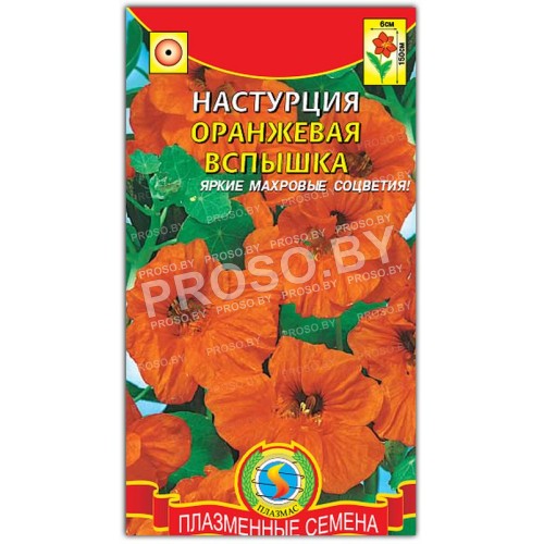 Настурция Оранжевая вспышка