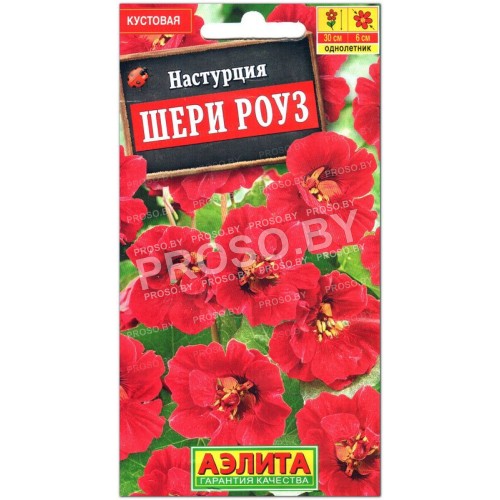 Настурция Шери роуз