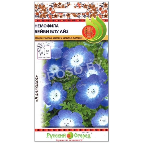 Немофила Бейби блу айз