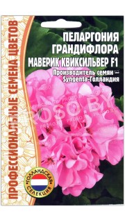Пеларгония грандифлора Маверик квиксильвер F1