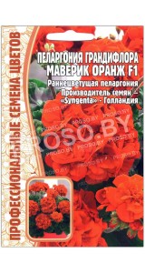 Пеларгония грандифлора Маверик оранж F1