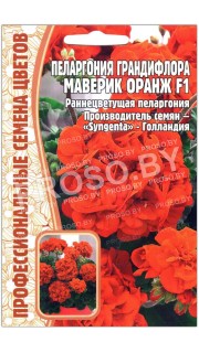 Пеларгония грандифлора Маверик оранж F1