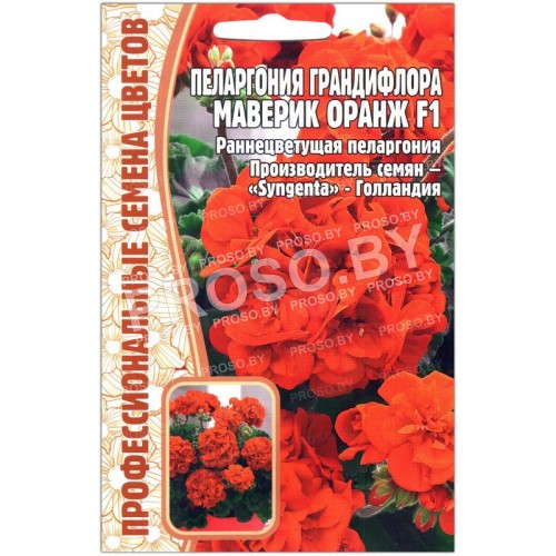 Пеларгония грандифлора Маверик оранж F1