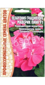 Пеларгония грандифлора Маверик пинк F1