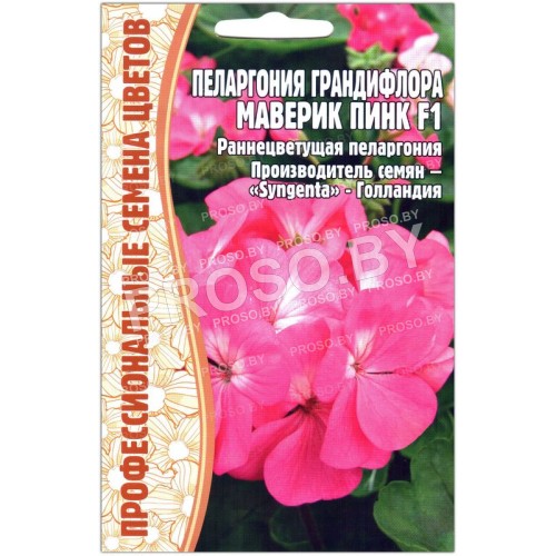 Пеларгония грандифлора Маверик пинк F1