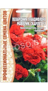 Пеларгония грандифлора Маверик скарлет F1