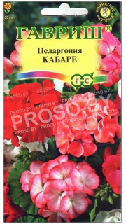 Пеларгония Кабаре