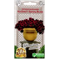 Петуния ампельная Изи вэйв бургунд велюр F1 Петуния ампельная Изи вэйв бургунд велюр F1