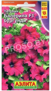 Петуния Балерина бургунди F1
