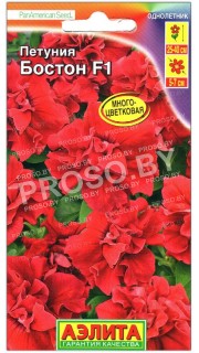 Петуния Бостон F1