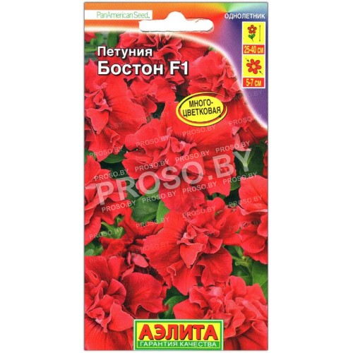 Петуния Бостон F1