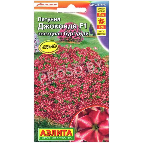 Петуния Джоконда звездная бургунди F1