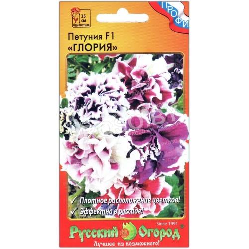 Петуния Глория F1