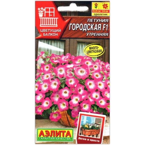 Петуния Городская утренняя F1