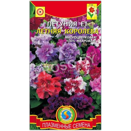 Петуния Летняя королева F1