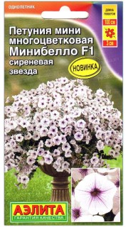 Петуния мини многоцветковая Минибелло сиреневая звезда F1