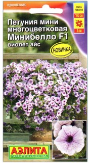 Петуния мини многоцветковая Минибелло виолет айс F1