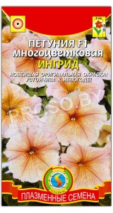 Петуния многоцветковая Ингрид F1