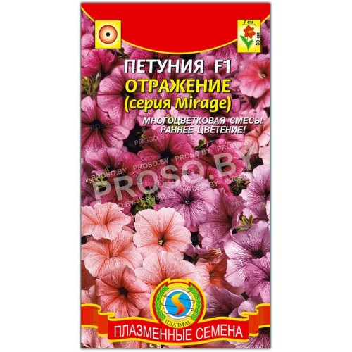 Петуния Отражение F1