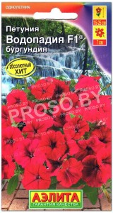 Петуния Водопадия бургундия F1