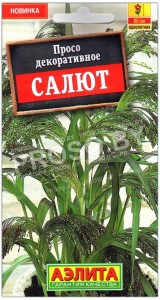 Просо декоративное Салют