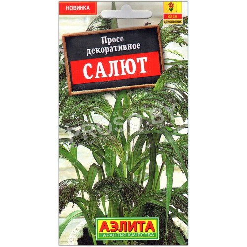 Просо декоративное Салют