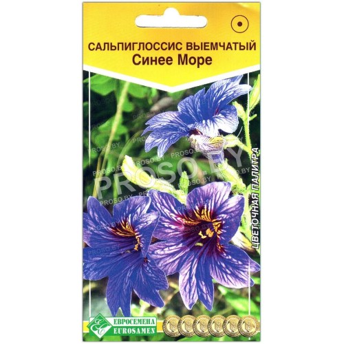 Сальпиглоссис выемчатый Синее море