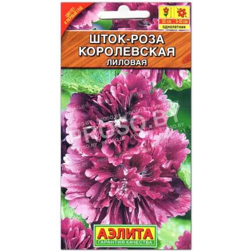 Шток-роза Королевская лиловая