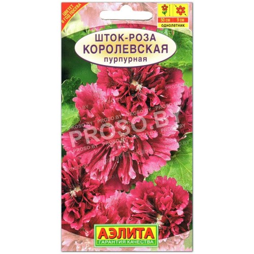 Шток-роза Королевская пурпурная-1