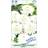 Скабиоза Хрусталь