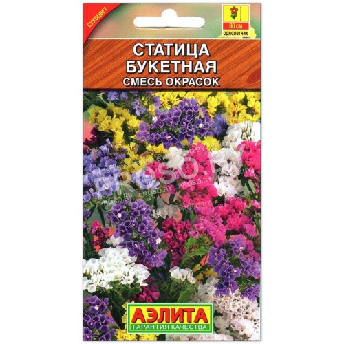 Статица Букетная, смесь-1