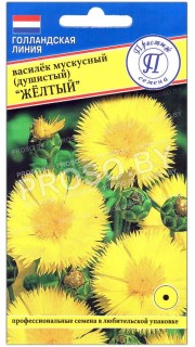 Василек мускусный Желтый