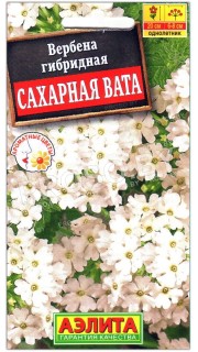 Вербена гибридная Сахарная вата