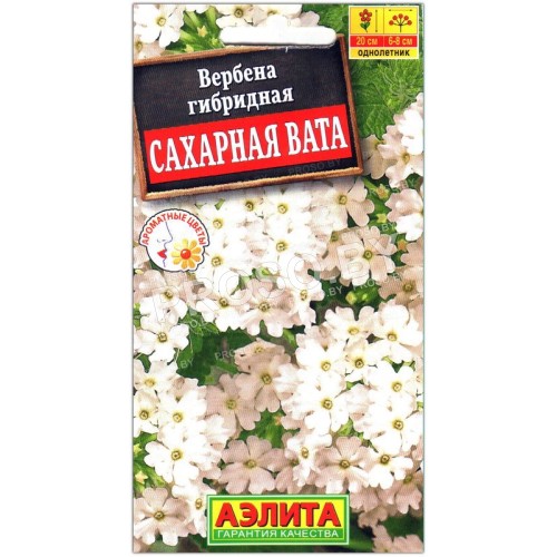 Вербена гибридная Сахарная вата