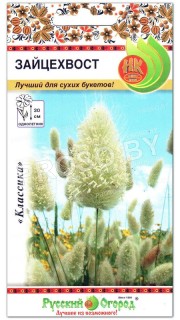 Зайцехвост