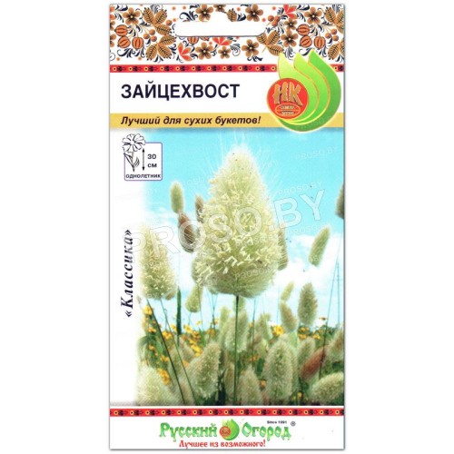 Зайцехвост