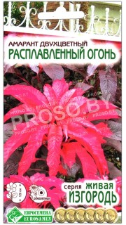 Амарант двухцветный Расплавленный огонь