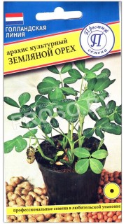 Арахис культурный Земляной орех