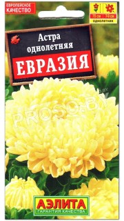 Астра Евразия
