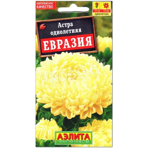 Астра Евразия