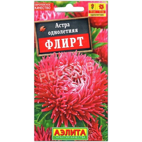 Астра Флирт